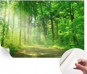 Öntapadós tapéta Divatos 3D fali ragasztóval Erdei ösvény 152x104 cm