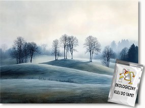 Fotótapéta Flizelina Tájkép Dombok Fák Köd Hajnal 416x254 ragasztó