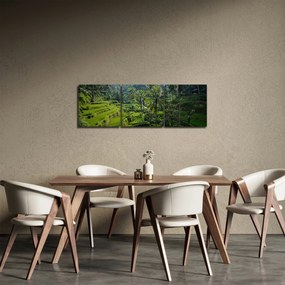 Kép a rizs teraszokról, Tegalalang, Bal (órával) (90x30 cm)