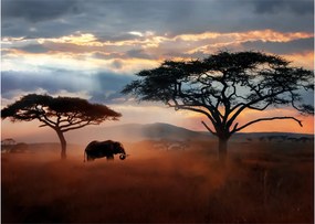 Kép - Serengeti Nemzeti Park, Tanzánia, Afrika (üvegen) (70x50 cm)