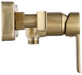 Zuhanycsaptelep ARGUS GOLD BRUSH