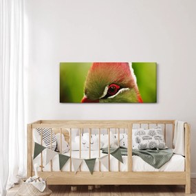 Színes madár képe (120x50 cm)