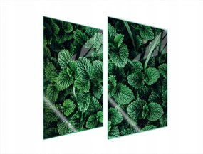 Üveg Konyhai Védőlap 2x35x52 Citromfű Edzett Üveg