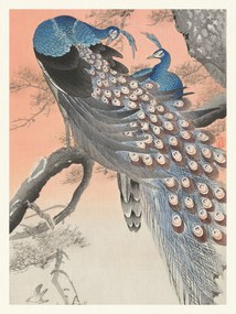 Festmény reprodukció Two Peackcoks on a Peach Branch (Japandi Vintage) - Ohara Koson, (30 x 40 cm)