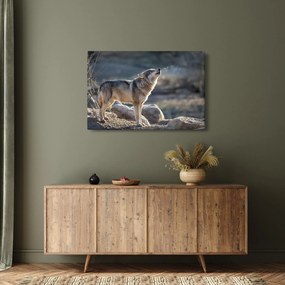 Kép - Üvöltő farkas (90x60 cm)