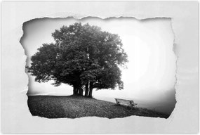 Poszterek 90x60 Tájkép szürke Bw