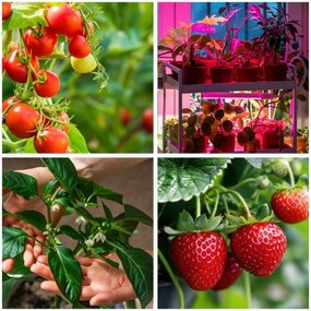 Brilagi-LED Dimmelhető állólámpa növények termesztésére VITABLOOM 4xLED/7,5W/230V