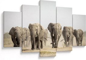 Kép - Elefántcsorda (150x105 cm)