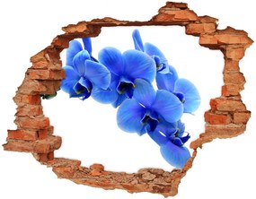 3d-s lyukat fali matrica Kék orchidea nd-c-91549599
