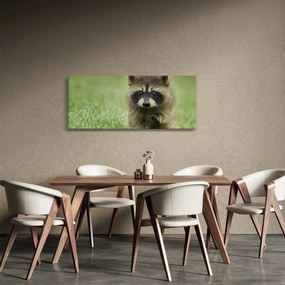 A mosómedve képe (120x50 cm)