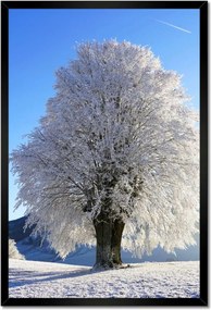Poszterek keretben 40x60 Téli fa kép