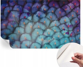 Modern öntapadós fotótapéta Mosható színes tollak 416x254 cm