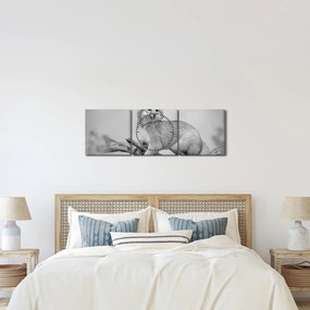 Kép - Szürke róka (órával) (90x30 cm)