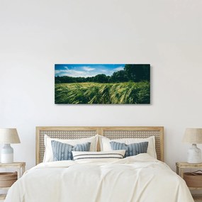 Rét és az erdő képe (120x50 cm)