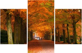 Kép - A Avenue of fák ősszel (90x60 cm)