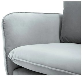 Vienna világosszürke bársony fotel - Cosmopolitan Design