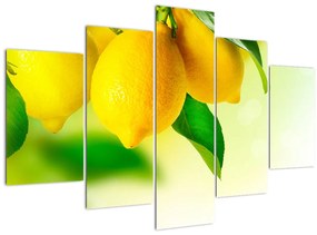 A citrom képe (150x105 cm)