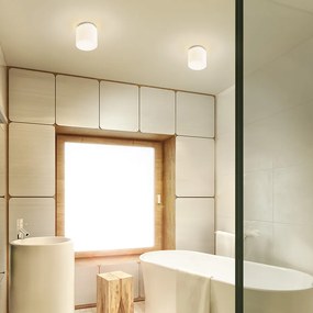 RENDL ARANA R 17 stropní opálové sklo/chrom 230V LED E27 11W IP44