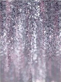 3D fotótapéta növény levelek 184 x 254