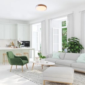 Rabalux 3527 - LED Mennyezeti lámpa MAPLE LED/24W/230V fehér