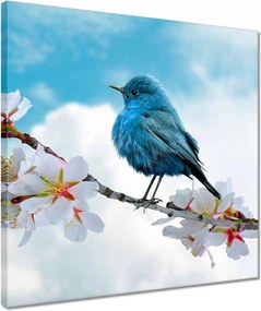 Vászonkép 40x40 Madár az ágon Finom virágok neki