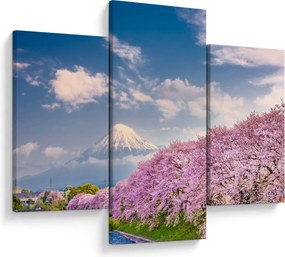 Kép - Japán tavaszi táj (90x60 cm)