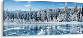 Kép a befagyott tóról és a havas fákról (120x50 cm)