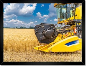 Poszterek keretben 40x30 Érett termések gyűjteménye