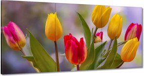 Vászonkép 180x90 Tulipánok Virágok