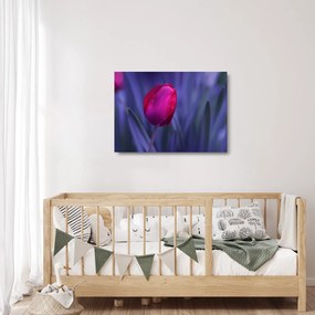 Tulipán bimbó képe (üvegen) (70x50 cm)