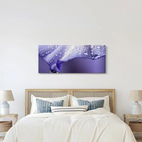 Kép - Szirom cseppekkel (120x50 cm)