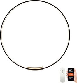 Immax NEO 07245-80 LED dimmelhető lámpa FINO LED/50W/230V 80cm Tuya + DO