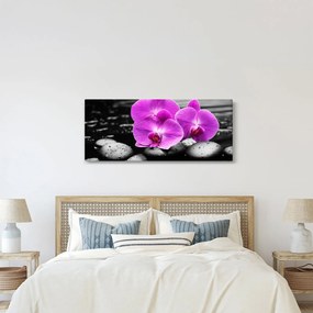 Kép - Lila orchideák (120x50 cm)
