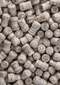 Poszter 64x90cm Pezsgős dugók, Assaf Frank