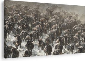 Kép - Gnúcsorda (90x60 cm)