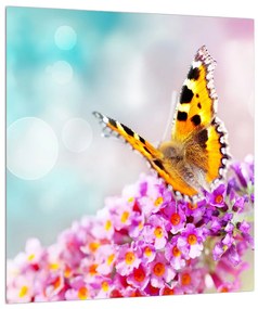 Pillangó a virágon képe (30x30 cm)