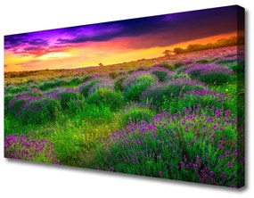 Vászonkép falra rét Nature 125x50 cm