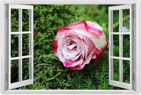Poszterek 120x80 Rózsa Virág Virágok Rózsa