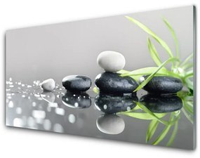 Üvegkép Zen Spa Stones Grass 100x50 cm 2 fogas