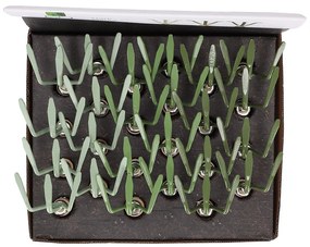 Fém kézi gereblye fa nyéllel, fűzöld