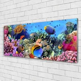 Akrilkép Barrier Reef Nature 120x60 cm