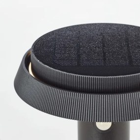 Brilliant - LED Napelemes lámpa érzékelővel ALVERO LED/4W/3,7V 50 cm IP44 fekete