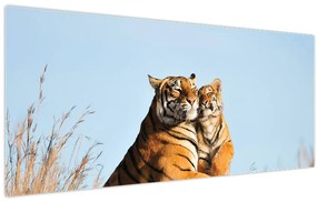 Kép - Tigris és a kölyke (120x50 cm)