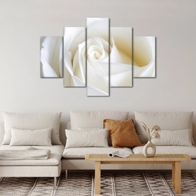 Egy fehér rózsa képe (150x105 cm)