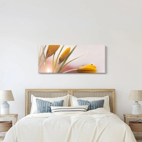 Kép - Tavaszi virágok (120x50 cm)