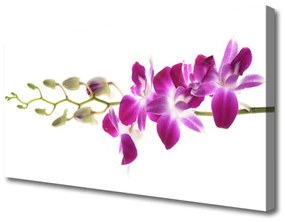 Vászonkép Virág növény természet 125x50 cm