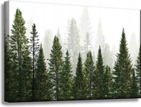 Vászonkép Esőerdő Természet Fák 60x40 cm
