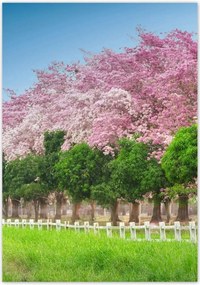 Poszterek 70x100 Cseresznye tájkép