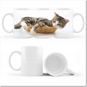 Cica fényképes bögre Cica