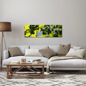 Kép - juhar levelek (órával) (90x30 cm)